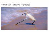 me after l shave my legs