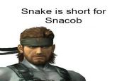 Snake is short for Snacob
