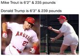 Mike Trout is 6’2” & 235 pounds  Donald Trump is 6’3” & 239 pounds Mike Trout is 6'2" & 235 pounds Donald Trump is 6'3" & 239 pounds ANGE