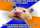 THAT MOMENT WHEN YOU REALIZE THE HAMSTER DANCE IS JUST A REMIXED VERSION OF DISNEY'S ROBIN HOOD ROOSTER SONG