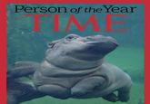 Person of the Year TIME