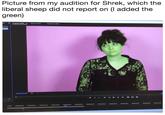 Picture from my audition for Shrek, which the liberal sheep did not report on (I added the green) Program 00009 (oo site) 029 2 00:00:2408 00 223