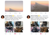 Twitter Slaient Images 10 Eleanor Harding @t.. . 08/01/2018 Couple of weeks at home in SA and my gallery is now 80% cat photos. She's called Phish. She likes to mlem. Eleanor Harding @t.. . 08/01/2018 Couple of weeks at home in SA and my gallery is now 80% cat photos. She's called Phish. She likes to mlem. 92 40 92 40
