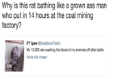 Why is this rat bathing like a grown ass man who put in 14 hours at the coal mining factory? 6'7 Igwe @SheWantsTheVic My 10,000 rats washing the blood of my enemies off after battle Show this thread 0:20