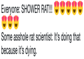 Everyone: SHOWER RAT!! Some a------ rat scientist: It's doing that because it's dying