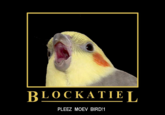 BLOCKATIEIL PLEEZ MOEV BIRD!1