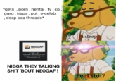*gets , porn, hentai,tv, cp guro, traps, pol, e-celeb , deep sea threads* sleep/ NeoGAF Why cant gamers Just not NIGGA THEY TALKING SHIT 'BOUT NEOGAF! al shit