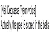 [Neil Degrasse Tyson voice] Actually, the pee IS stored in the balls