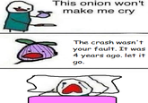 This onion won't make me cry The crash wasn't your fault. It was 4 years ago. let it 90.