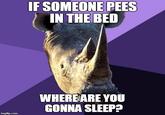 IF SOMEONE PEES IN THE BED WHEREARE YOU GONNA SLEEP?