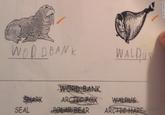 WALDU NK. SEAL POLAR BEAR A