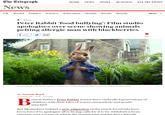 The Celegraph HOME NEWS SPORT BUSINESS ALL SECTIONS News UK World Politics Science Education Health Brexit Royals More News Peter Rabbit 'food bullying': Film studio apologises over scene showing animals pelting allergic man with blackberries share 43 Peter Rabbit, voiced by James Corden, in a scene from the film CREDIT: COLUMBIA PICTURES/SONY By Victoria Ward 2 FEBRUARY 2018 8:50AM eatrix Potter's Peter Rabbit stories have enthralled generations of children with their tales of warm camaraderie and gentle mischief. But filmmakers behind a new adaptation of the much-loved tale have been forced to apologise after facing calls for it to be withdrawn from cinemas over a scene in which the protagonist and his frry friends