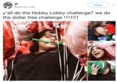 gi @giannahorvath Follow y'all do the Hobby Lobby challenge? we do the dollar tree challenge !11