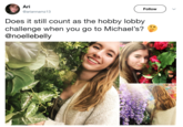 Ari @ariannamz13 Follow Does it still count as the hobby lobby challenge when you go to Michael's? @noellebelly