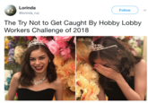 Lorinda @lorinda_ruz Follow The Try Not to Get Caught By Hobby Lobby Workers Challenge of 2018