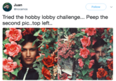 Juan @nocamos Follow Tried the hobby lobby challenge... Peep the second pic..top left.
