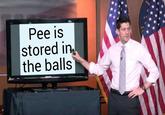 Paul Ryan presents his strong case for the basic knowledge that everyone knows and accepts to be fact, and that is that "pee is stored in the balls":/memes/pee-is-stored-in-the-balls - and if anyone disagrees it is on them to provide proof otherwise.