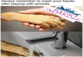 Always remember to wash your hands after playing with animals