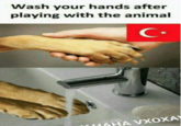 Wash your hands after playing with the animal HAHA VXOXA