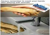 Always remember to wash your hands after playing with animals