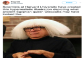 frog kid @toeknife666 Follow Scientists at Harvard University have created this hyperrealistic illustration depicting what ancient Egyptian queen Cleopatra may have looked like.