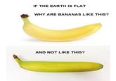IF THE EARTH IS FLAT WHY ARE BANANAS LIKE THIS? AND NOT LIKE THIS?