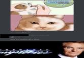 Pill that makes you stare Pills that make vou stare at People who's mums are gey Ur mom gey lol Today at 12:08 AM xD but its lookin at u also N OLVE D