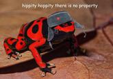 hippity hoppity there is no property