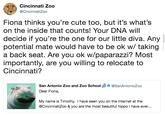 Cincinnati Zoo @CincinnatiZoo Fiona thinks you're cute too, but it's what's on the inside that counts! Your DNA will decide if you're the one for our little diva. Any potential mate would have to be ok w/ taking a back seat. Are you ok w/paparazzi? Most importantly, are you willing to relocate to Cincinnati? San Antonio Zoo and Zoo School@SanAntonioZoo Dear Fiona, My name is Timothy. I have seen you on the internet at the @CincinnatiZoo & you are the most beautiful hippo I have ever..