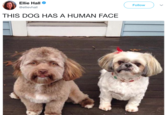 Ellie Hall @ellievhall Follow THIS DOG HAS A HUMAN FACE
