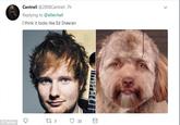 Cantrell @2008Cantrell 7h Replying to @ellievhall I think it looks like Ed Sheeran © Twitter