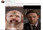Aron Kaiser @aronakaiser -6h Replying to @ellievhall It's Russell Crowe. Not Gladiator Russell but more like A Beautiful Mind Russell. © Twitter
