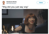 tincture drone @NoTeeOrShadow Follow "Wig did you just say wig" GIF