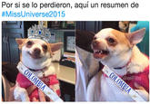 Translation:
In case you've missed it, here's a quick recap of #MissUniverse2015
