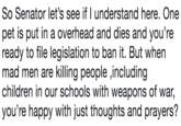So Senator let's see if I understand here. One pet is put in a overhead and dies and you're ready to file legislation to ban it. But when mad men are killing people ,including children in our schools with weapons of war, you're happy with just thoughts and prayers?