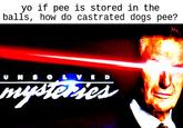 yo if pee is stored in the balls, how do castrated dogs pee?