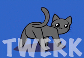 TWERK