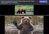6 pictures of Jennifer Lawrence that'll make you say "That's a bear not Jennifer Lawrence'" by Bump4Trump via iPhone May 28 2016 Next Post>