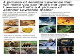 4 pictures of Jennifer Lawrence that will make you say "that's not Jennifer Lawrence that's a 4 pictures of Jennifer Lawrence meme" 4 pictures of Jennifer Lawrence 4 pictures of Jennifer Lawrence that will that will make you say "that's not Jennifer Lawrence that's Lawrence, those are 4 of the Toa Mata" garlic bread" make you say "that's not Jennifer pictures of Jennifer Lawrence thatll 4 pictures of Jennifer Lawrence that will make you say "that's not Jennifer Lawrence, make you say"that's a bear not Jennifer that's Jeremy Claksn making fac Lawrence"