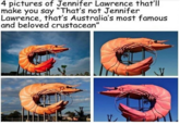 4 pictures of Jennifer Lawrence that'll make you say "That's not Jennifer Lawrence, that's Australia's most famous and beloved crustacean"