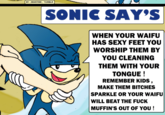 SONIC SAY'S WHEN YOUR WAIFU HAS SEXY FEET YOU WORSHIP THEM BY Z YOU CLEANING THEM WITH YOUR TONGUE! REMEMBER KIDS MAKE THEM BITCHES SPARKLE OR YOUR WAIFU WILL BEAT THE F--- MUFFIN'S OUT OF YOU!