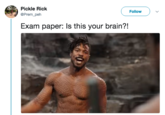 Follow Pickle Rick @Prem_ peh Exam paper: Is this your brain?!
