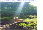 And then God said: "Who's a good boy?" (i.imgur.com) submitted 1 year ago by Hilltopchill 510 comments share save hide give gold report crosspost