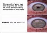 The pupil of your eye can expand as much as 55% while looking at something you love Fortnite wins on Snapchat