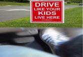 DRIVE LIKE YOUR KIDS LIVE HERE www.DriveLikeYourKidsLiveHere.com