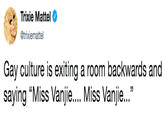 Trixie Mattel @trixiemattel Gay culture is exiting a room backwards and saying "Miss Vanjie.... Miss Vanjie..."