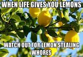 WHEN LIFE GIVES YOU'LEMONS WATCH OUT FORLEMON STEALING W----- nemegerierator.riet