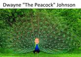1l Dwayne "The Peacock" Johnson