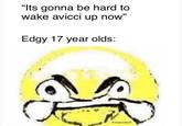 "Its gonna be hard to wake avicci up now" Edgy 17 year olds (0 @moprodeoll