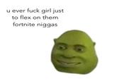 u ever f--- girl just to flex on them fortnite n-----
